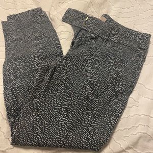 Loft dress pants